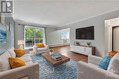 206 - 87 St George Street, Brantford, ON - Indoor Photo Showing Living Room