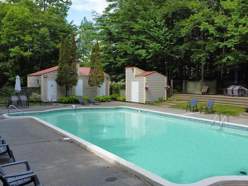 Pool - 5010 Ch. Du Parc, Orford, QC - Outdoor With In Ground Pool With Backyard