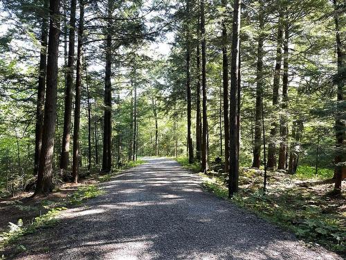 Nearby - 5010 Ch. Du Parc, Orford, QC - Outdoor With View