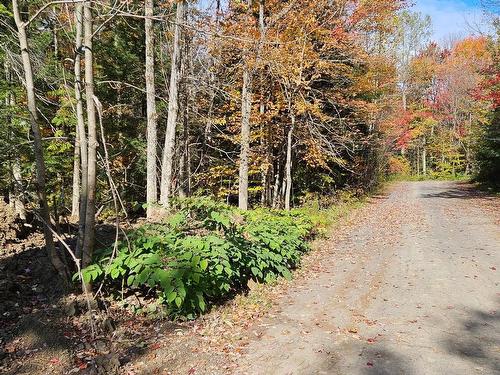 Street - Rue Marchand, Saint-Calixte, QC 