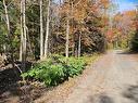 Street - Rue Marchand, Saint-Calixte, QC 