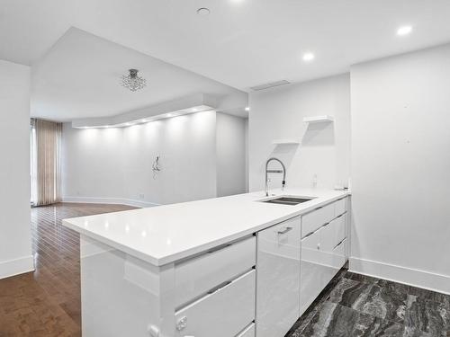 Vue d'ensemble - 303-1025 Rue De La Commune E., Montréal (Ville-Marie), QC - Indoor Photo Showing Kitchen With Double Sink