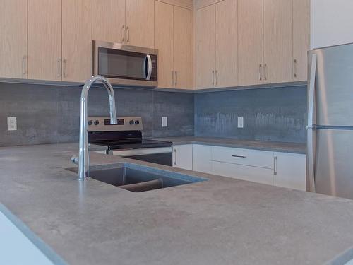 205-6544 Metral Dr, Nanaimo, BC - Indoor Photo Showing Kitchen With Double Sink With Upgraded Kitchen