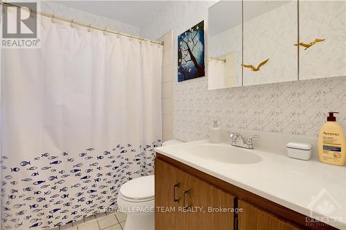 23 David Drive, Ottawa, ON - Indoor Photo Showing Bathroom