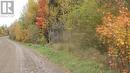 Pt Lot 25 Development Road, Bonfield, ON 