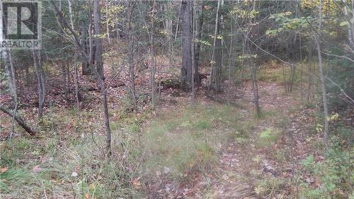 Pt Lot 25 Development Road, Bonfield, ON 