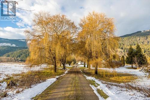 2269 Solsqua Road, Sicamous, BC - Outdoor With View