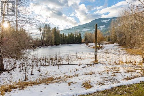 2269 Solsqua Road, Sicamous, BC - Outdoor With View