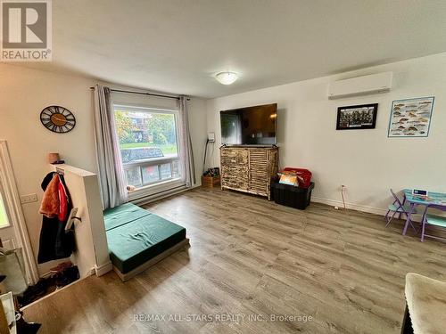 3 Caroline Street, Kawartha Lakes, ON - Indoor Photo Showing Living Room