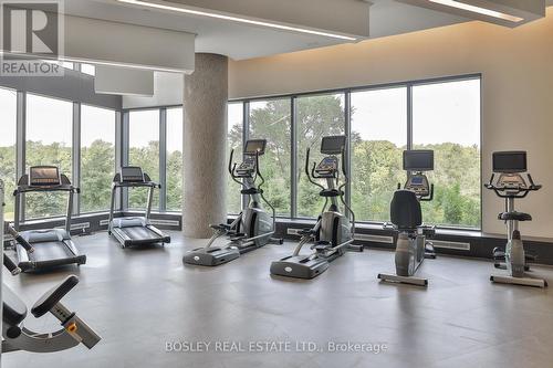 Lph 10 - 160 Vanderhoof Avenue, Toronto, ON - Indoor Photo Showing Gym Room