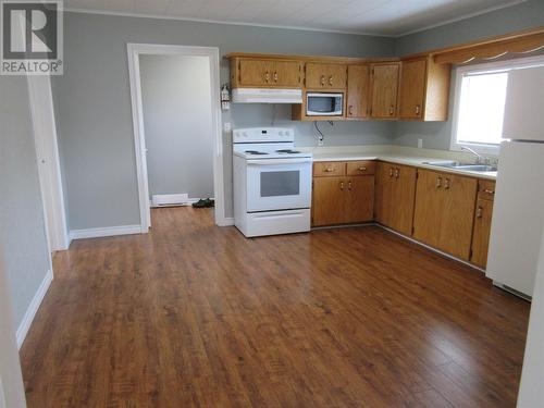 14A Memorial Avenue, Botwood, NL - Indoor Photo Showing Kitchen With Double Sink