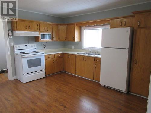 14A Memorial Avenue, Botwood, NL - Indoor Photo Showing Kitchen With Double Sink