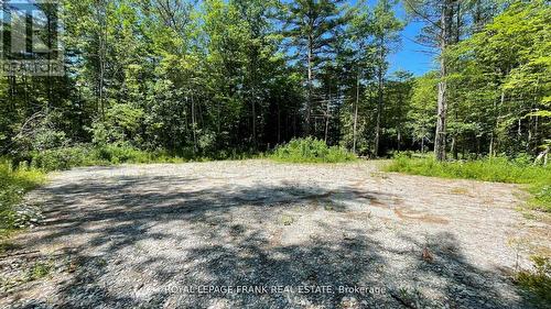 3469 Riverdale Drive E, Severn (Washago), ON 