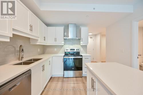 310 - 153 Wilson Street W, Hamilton, ON - Indoor Photo Showing Kitchen With Double Sink With Upgraded Kitchen