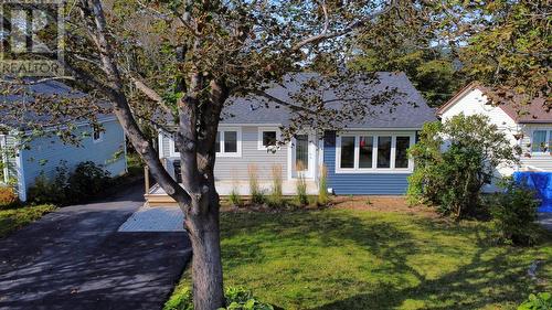 184 University Avenue, St. John'S, NL - Outdoor