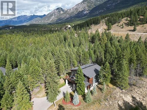 4955 Saddlewood Lane, Radium Hot Springs, BC - Outdoor With View