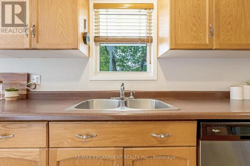 54 Dairy Drive, Halton Hills, ON - Indoor Photo Showing Kitchen With Double Sink