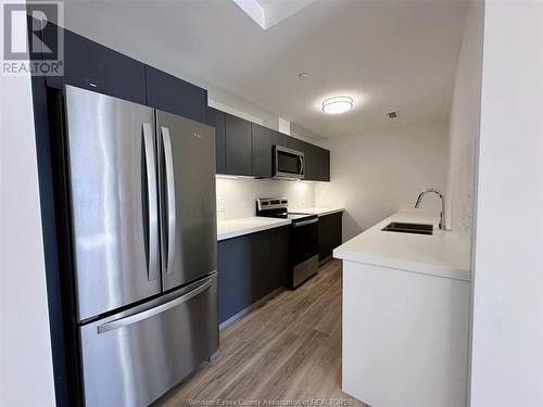 3290 Stella Unit# 503, Windsor, ON - Indoor Photo Showing Kitchen With Double Sink With Upgraded Kitchen