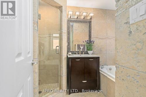 17 Robinson Road, Halton Hills, ON - Indoor Photo Showing Bathroom