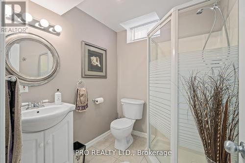 17 Robinson Road, Halton Hills, ON - Indoor Photo Showing Bathroom