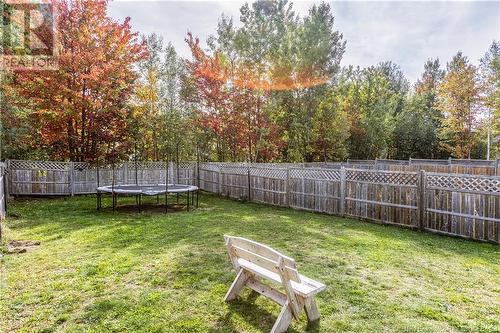 102 Clarendon Drive, Moncton, NB - Outdoor With Backyard