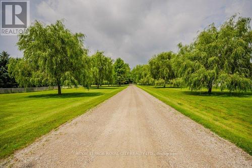 7456 Wellington Road 51, Guelph/Eramosa, ON - Outdoor With View