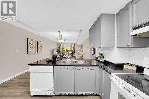 313 - 121 Woodbridge Avenue, Vaughan, ON - Indoor Photo Showing Kitchen With Double Sink