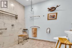 redone bathroom for the Principal bedroom - 