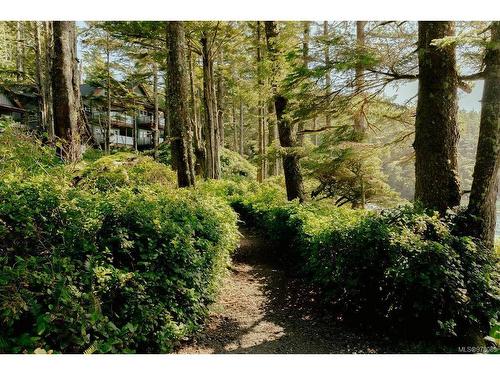 14-1002 Peninsula Rd, Ucluelet, BC 