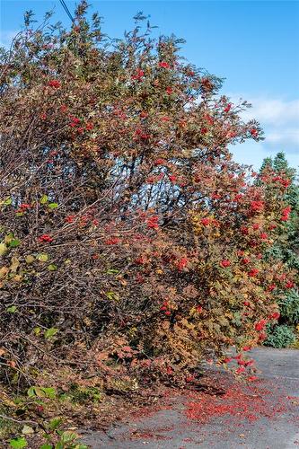 188-190 Highway Avenue, Musgrave Harbour, NL 