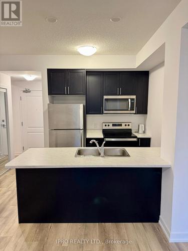 316 - 470 Dundas Street E, Hamilton, ON - Indoor Photo Showing Kitchen With Stainless Steel Kitchen With Double Sink With Upgraded Kitchen