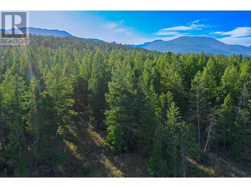 Lot 49 Pine Ridge Mountain  Place, Invermere, BC 