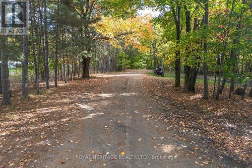 266 Mcfadden Line, Powassan, ON - Outdoor With View