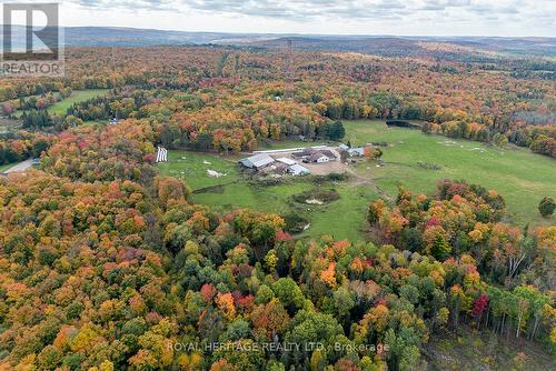 266 Mcfadden Line, Powassan, ON - Outdoor With View