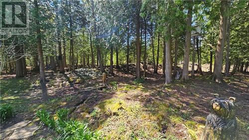 328 Dyer'S Bay Road, Miller Lake, ON - Outdoor With View