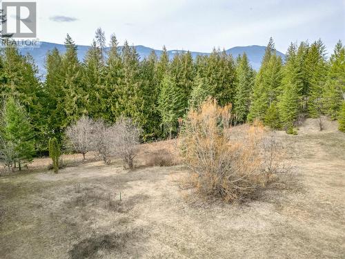 91 17 Avenue Se, Salmon Arm, BC 