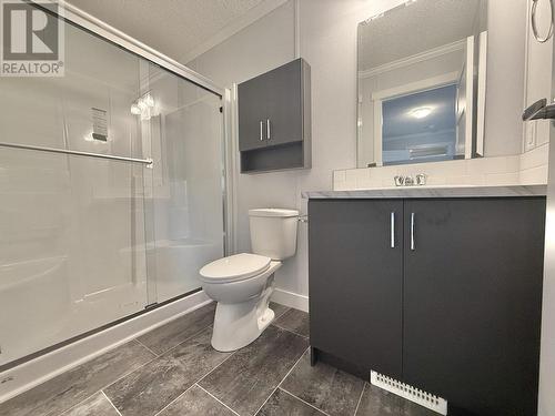 73 313 Westland Road, Quesnel, BC - Indoor Photo Showing Bathroom