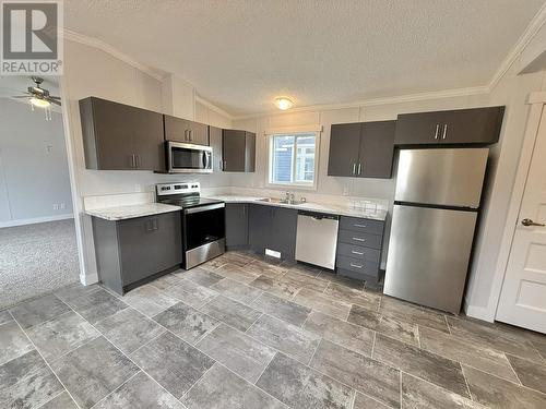 73 313 Westland Road, Quesnel, BC - Indoor Photo Showing Kitchen With Double Sink