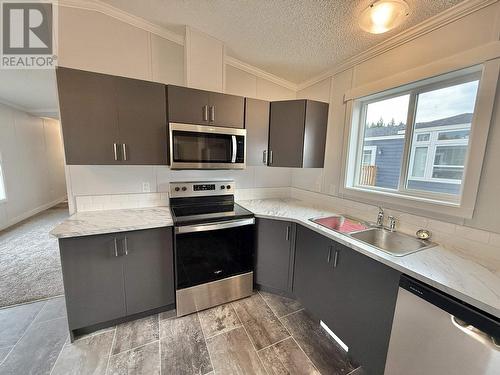 73 313 Westland Road, Quesnel, BC - Indoor Photo Showing Kitchen With Double Sink