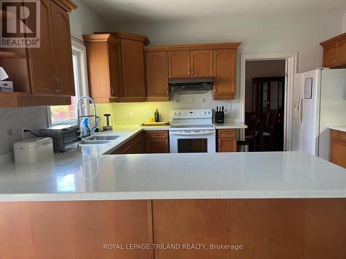 540 Cottontail Crescent, London, ON - Indoor Photo Showing Kitchen With Double Sink