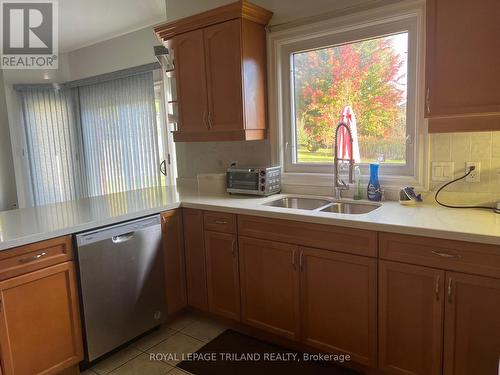 540 Cottontail Crescent, London, ON - Indoor Photo Showing Kitchen With Double Sink