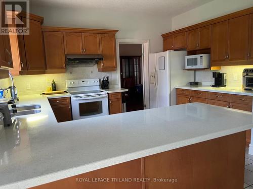 540 Cottontail Crescent, London, ON - Indoor Photo Showing Kitchen With Double Sink