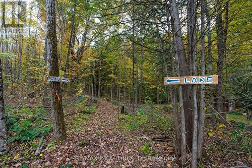 11 Maplewood Court, Galway-Cavendish And Harvey, ON - Outdoor With View