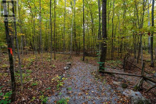 11 Maplewood Court, Galway-Cavendish And Harvey, ON - Outdoor With View