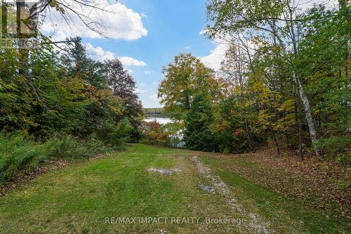 11 Maplewood Court, Galway-Cavendish And Harvey, ON - Outdoor