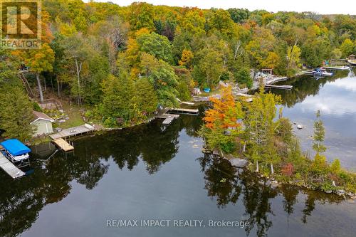 11 Maplewood Court, Galway-Cavendish And Harvey, ON - Outdoor With Body Of Water With View