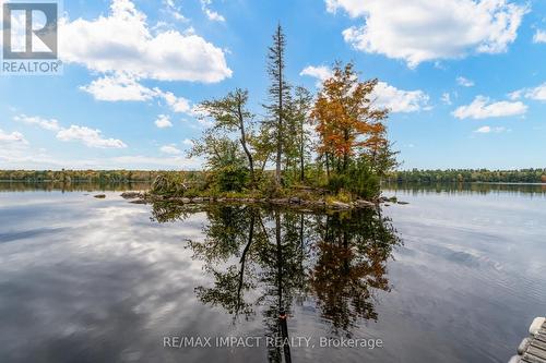 11 Maplewood Court, Galway-Cavendish And Harvey, ON - Outdoor With Body Of Water With View