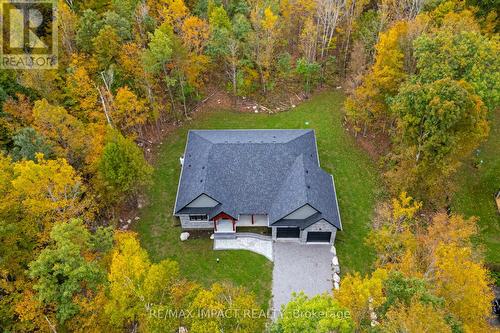 11 Maplewood Court, Galway-Cavendish And Harvey, ON - Outdoor