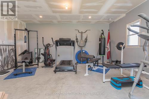 45024 Talbot Line, St. Thomas, ON - Indoor Photo Showing Gym Room