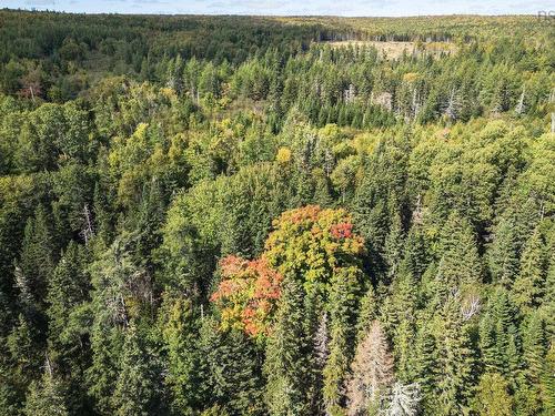 .. Mull River Road, Mabou, NS 